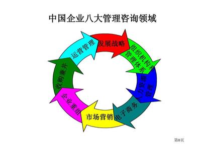 罗兰贝格 中国企业管理咨询提要